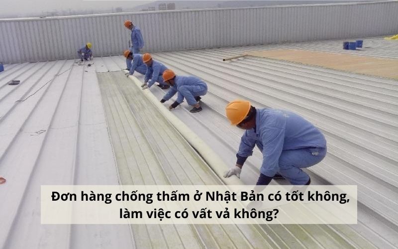 don-hang-chong-tham-tai-nhat-ban-002