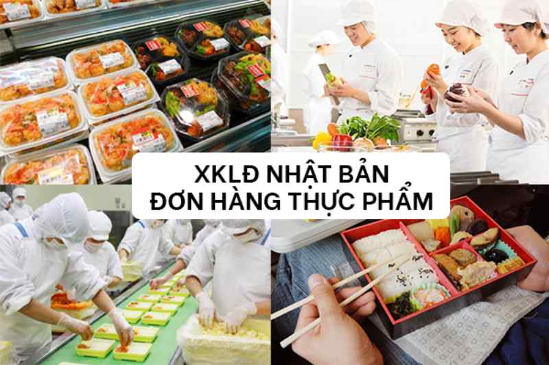 don-hang-thuc-pham-tai-nhat-000