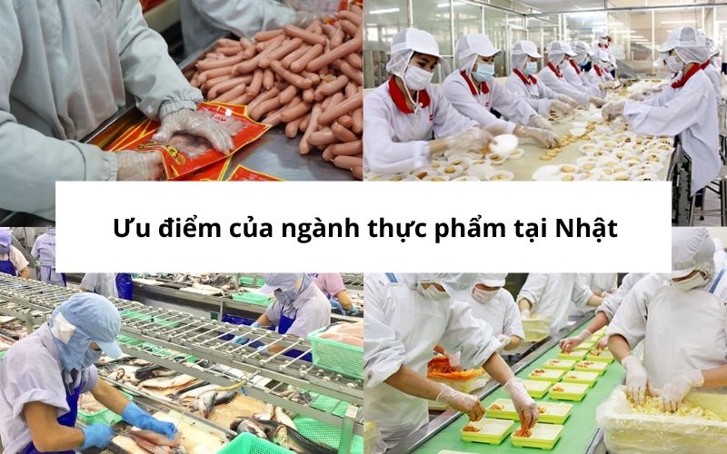 don-hang-thuc-pham-tai-nhat-0010