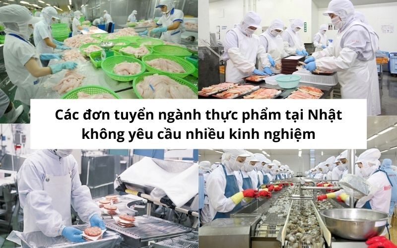 don-hang-thuc-pham-tai-nhat-0015